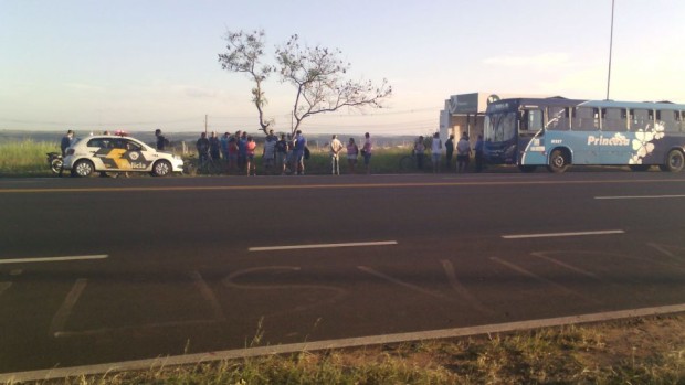 Criança é atropelada na Rodovia SP-294 (Foto: Maília Notícias)