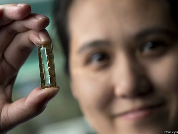 Estudante de doutorado Mya Le Thai estava "brincando" com nanocabos quando decidiu usar capa de gel (Foto: Steve Zylius/UCI)
