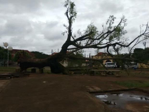 Chuva e vento provocaram danos em Paraguaçu Paulista (Foto: Magna Molina/Arquivo Pessoal)