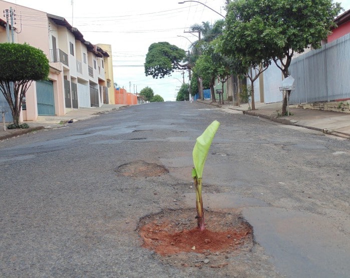 Moradores plantaram a bananeira como forma de protesto na Rua Visconde do Rio Branco (Foto: Diego Di Paula/AssisNews)