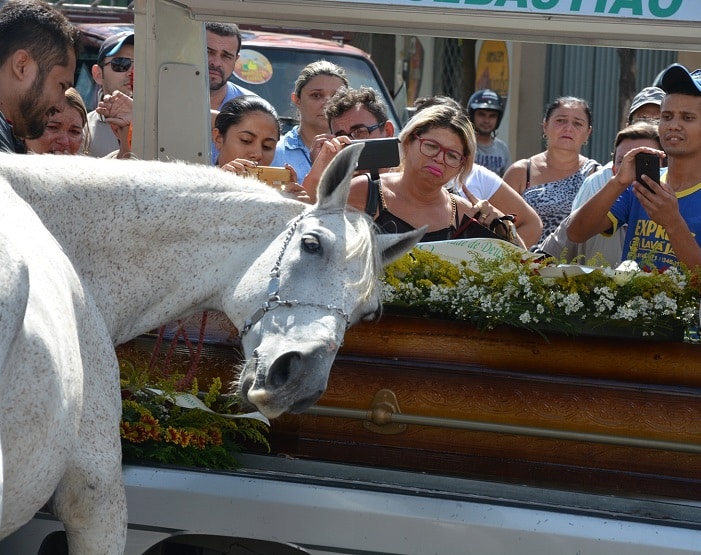 Levado para enterro pelo irmão do vaqueiro, cavalo Sereno relinchava, batia as patas e deitou a cabeça sobre o caixão do dono, na Paraíba (Foto: Kyioshi Abreu/Diário do Sertão)
