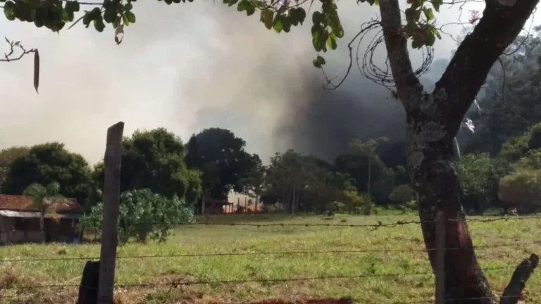 Incêndio atinge mata próxima a Usina de Reciclagem em Assis (Foto: AssisNews/Marcos Diniz)