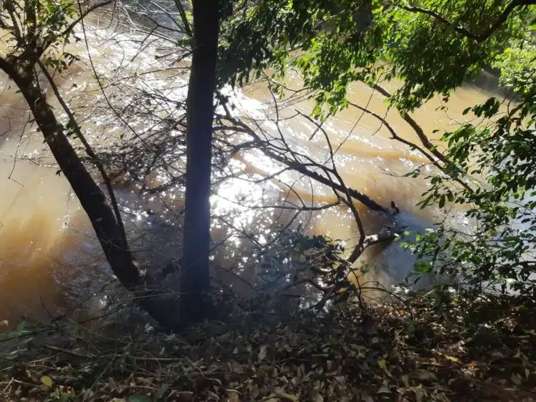 Pescador morre após cair de barranco no rio Capivara em Maracaí (SP) — Foto: Corpo de Bombeiros/Divulgação