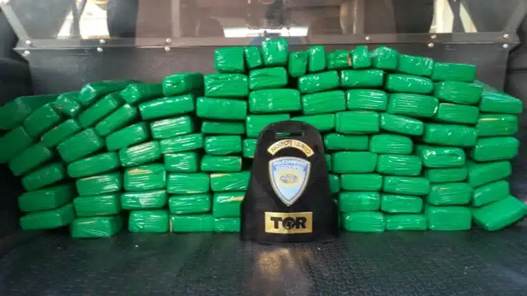 Casal é flagrado pela Polícia Rodoviária com mais de 71 kg de maconha (Foto: Polícia Rodoviária)