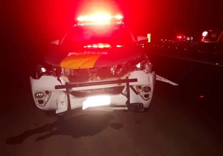 Viatura atingiu o carro que cruzava a rodovia próximo a Assis (Foto: Arquivo pessoal)