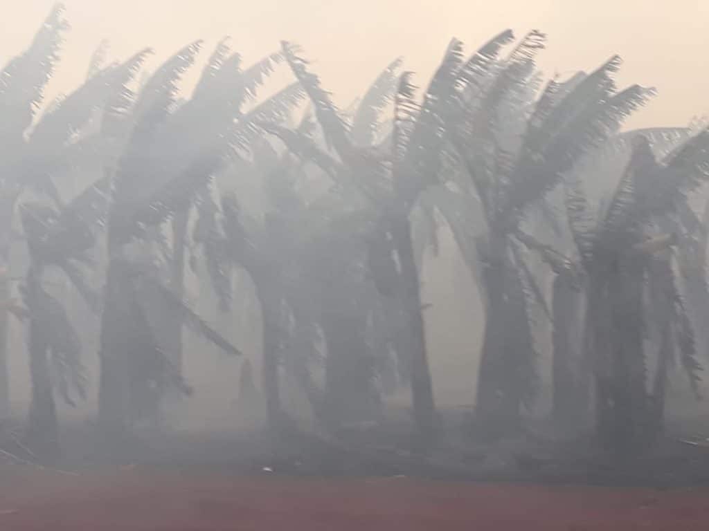 Incêndio em canavial na região causa prejudica visibilidade vários acidentes na rodovia (Foto: Jornal da Comarca)