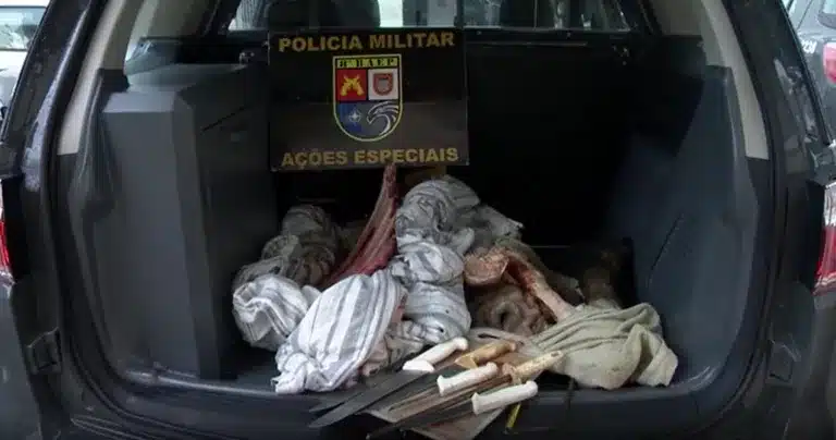 Homens foram presos por furto de gado em Presidente Prudente — Foto: Reprodução/TV Fronteira