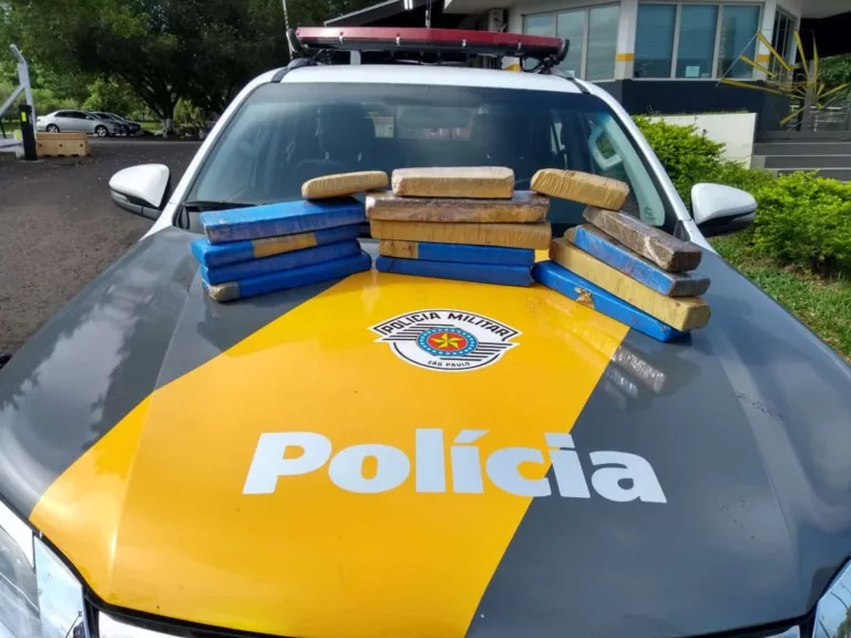 Polícia apreende maconha com passageira de ônibus em rodovia de Assis — Foto: Polícia Rodoviária/Divulgação