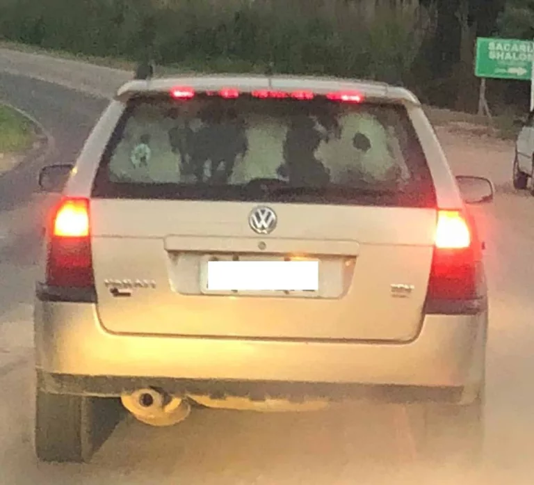 A VACA FOI FLAGRADA DENTRO DE UM PORTA-MALAS DE UM CARRO (FOTO: REPRODUÇÃO/AREDE/ GLAUCIANE CRUZ)