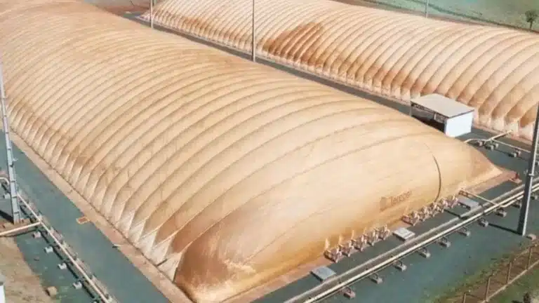 Indústria monta um dos maiores biodigestores da América Latina — Foto: Reprodução/TV TEM
