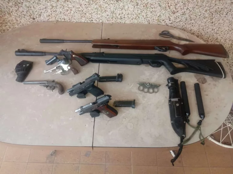 Cinco armas de fogo foram apreendidas — Foto: Guarda Municipal
