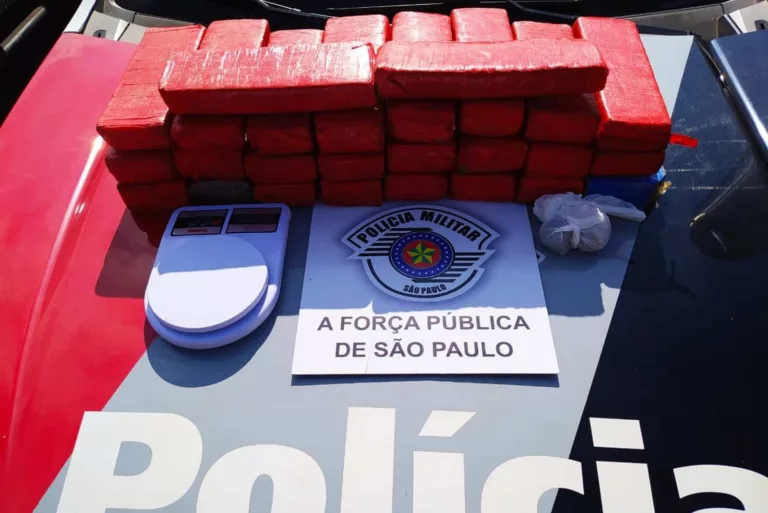 Polícia encontra 26 tijolos de maconha dentro de geladeira de casa em Assis (Foto: Polícia Militar/Divulgação)