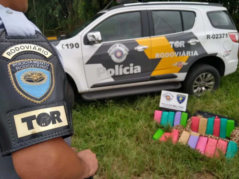 Maconha foi apreendida em ônibus — Foto: Divulgação/PM Rodoviária