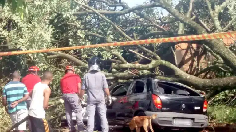 Carro foi atingido por árvore que caiu no bairro Barra Funda, em Paraguaçu Paulista: sem feridos — Foto: Arquivo pessoal