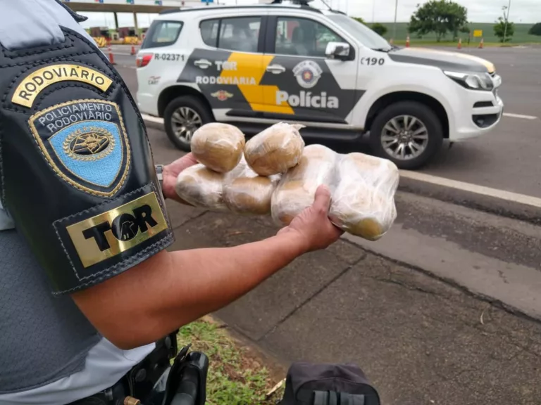 Dez pacotes de haxixe foram apreendidos durante a fiscalização em Santa Cruz do Rio Pardo — Foto: Polícia Rodoviária / Divulgação