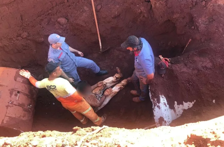 Homem é resgatado após ser soterrado durante trabalho em galeria de esgoto em Cândido Mota — Foto: Divulgação/The Brothers