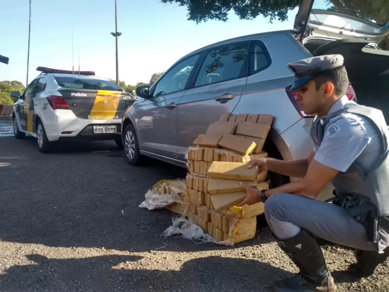 Polícia Rodoviária apreende tijolos de maconha durante fiscalização na Raposo Tavares — Foto: Polícia Rodoviária/Divulgação
