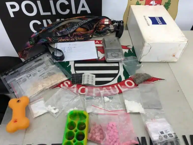 Drogas foram apreendidas pela polícia (Foto: Divulgação)