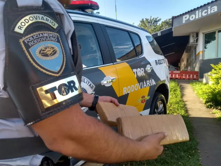 Polícia Rodoviária de Assis apreende tabletes de maconha em banheiro de ônibus — Foto: Polícia Rodoviária/Divulgação