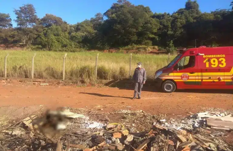 Corpo foi achado em área próxima ao Tênis Clube de Assis: sinais de agressão — Foto: Corpo de Bombeiros/Divulgação