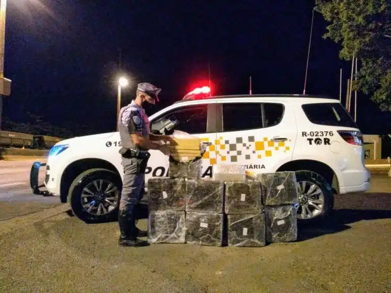 Foram apreendidos mais de 200 quilos de maconha em Assis (Foto: Polícia Rodoviária/Divulgação)