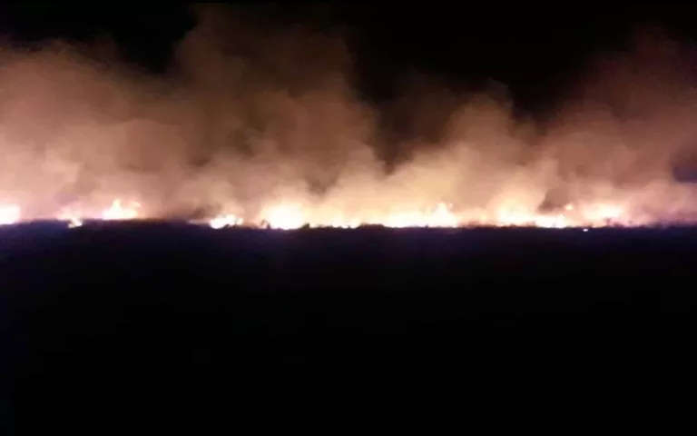 Incêndio de grandes proporções mobiliza bombeiros em Assis (Foto: Corpo de Bombeiros/Divulgação)