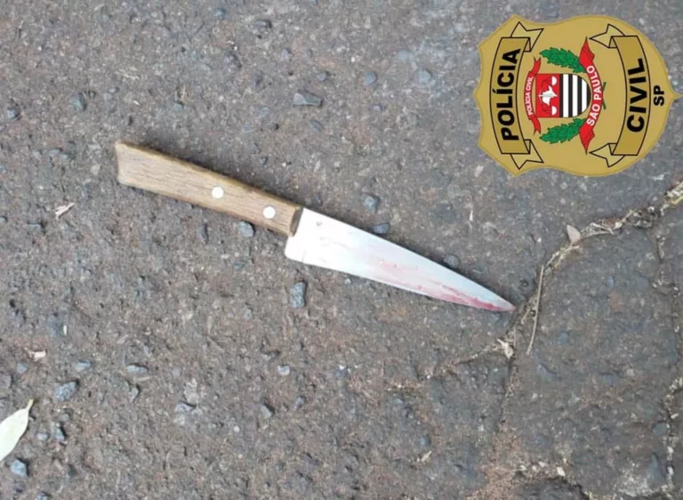 Faca usada no crime foi apreendida pela polícia — Foto: Polícia Civil