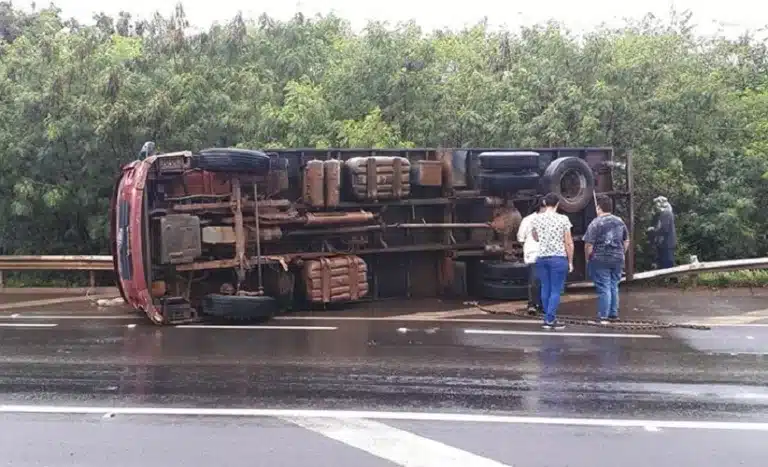 Caminhão carregado com mais de 30 bezerros tomba em rodovia de Paraguaçu (Foto: i7 Notícias/Manoel Moreno)