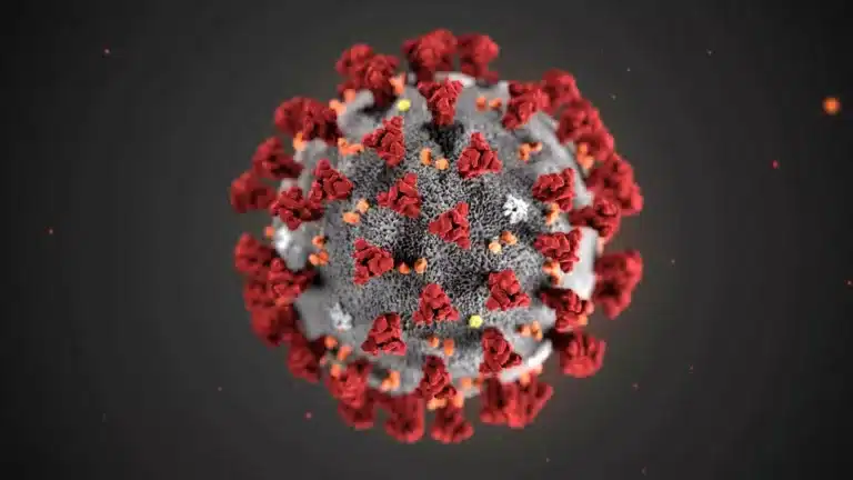 Ilustração feita pelo Centro de Controle e Prevenção de Doenças (CDC), dos EUA, mostra a morfologia do novo coronavírus, conhecido cientificamente como 2019-nCoV — Foto: Alissa Eckert, MS; Dan Higgins, MAM/CDC/Handout via Reuters