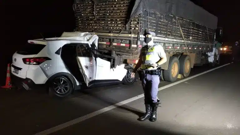 Batida entre carro e caminhão deixou uma vítima fatal na SP-425, em Indiana — Foto: Polícia Rodoviária