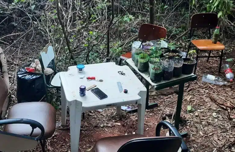 Local onde os adolescentes usavam para plantar maconha