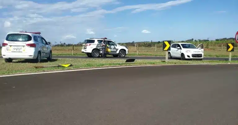 Na fuga, motorista derrubou uma placa de sinalização e depois tentou fugir correndo, mas foi detido — Foto: Polícia Rodoviária/Divulgação