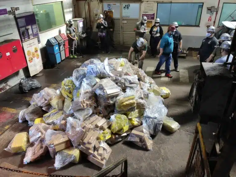 Duas toneladas de droga foram incineradas em Tarumã — Foto: Polícia Civil / Divulgação