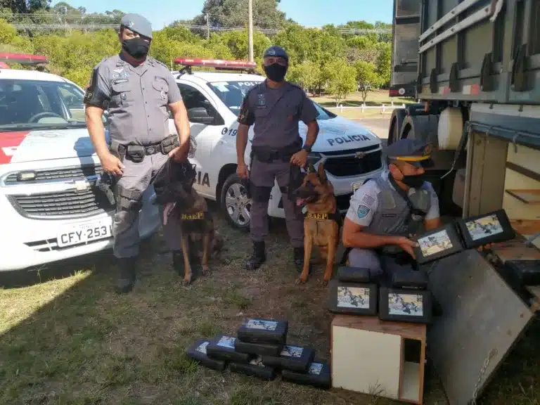 Polícia aborda caminhão com 33 tabletes de cocaína em Cândido Mota (Foto: Polícia Militar Rodoviário/Divulgação)