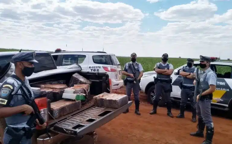 Caçamba da caminhonete abandonada próximo a um canavial estava carregada com 729 tijolos de maconha — Foto: Polícia Rodoviária/Divulgação