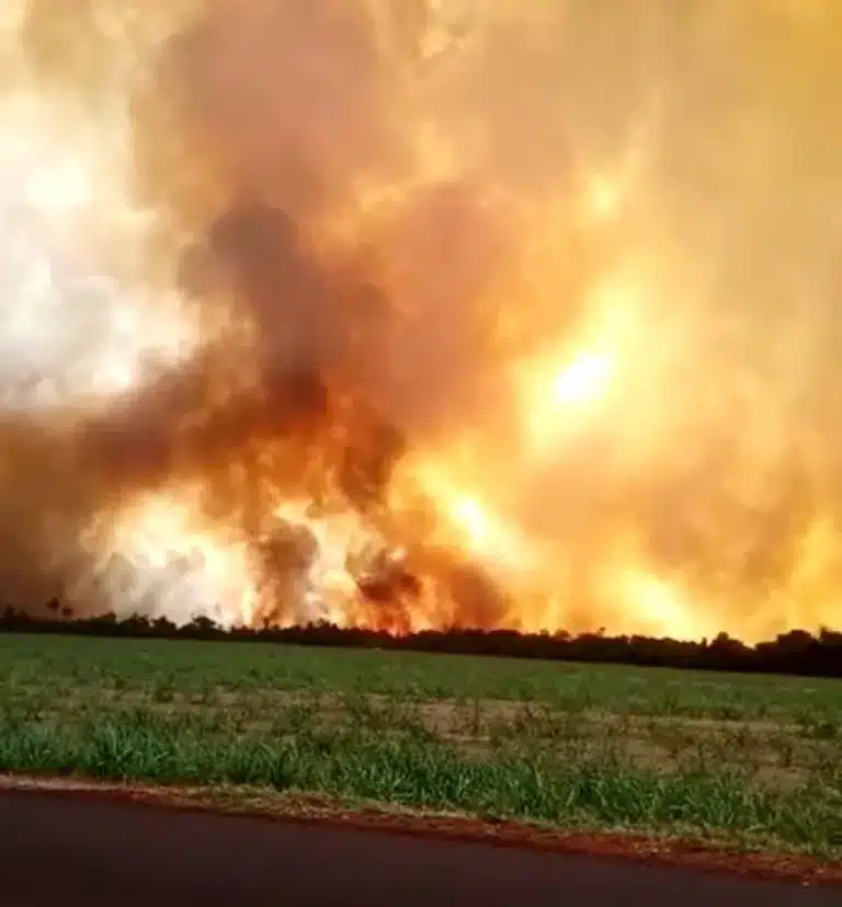 Por se tratar de uma área particular, bombeiros não foram acionados e combate é feito por equipes de usinas da região — Foto: Arquivo pessoal