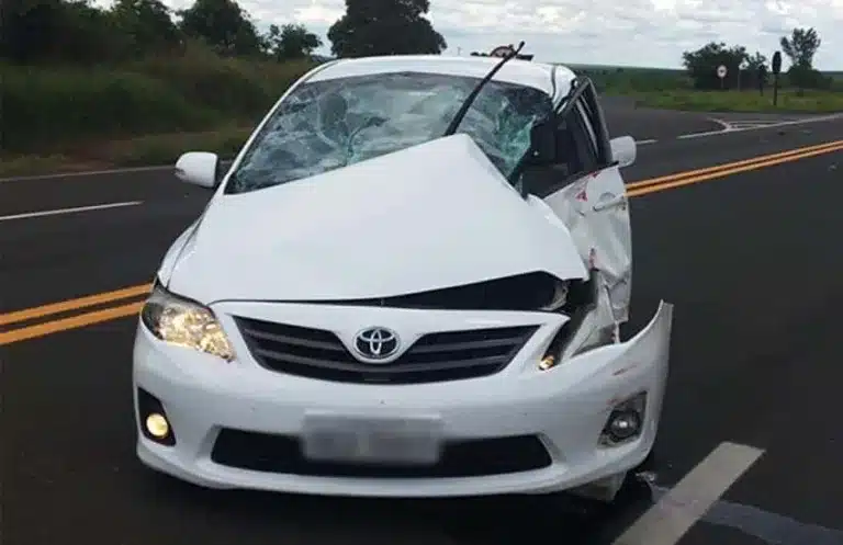 Carro e caminhão se envolvem em acidente na rodovia Paraguaçu/Assis (Foto: Samyr Soares)