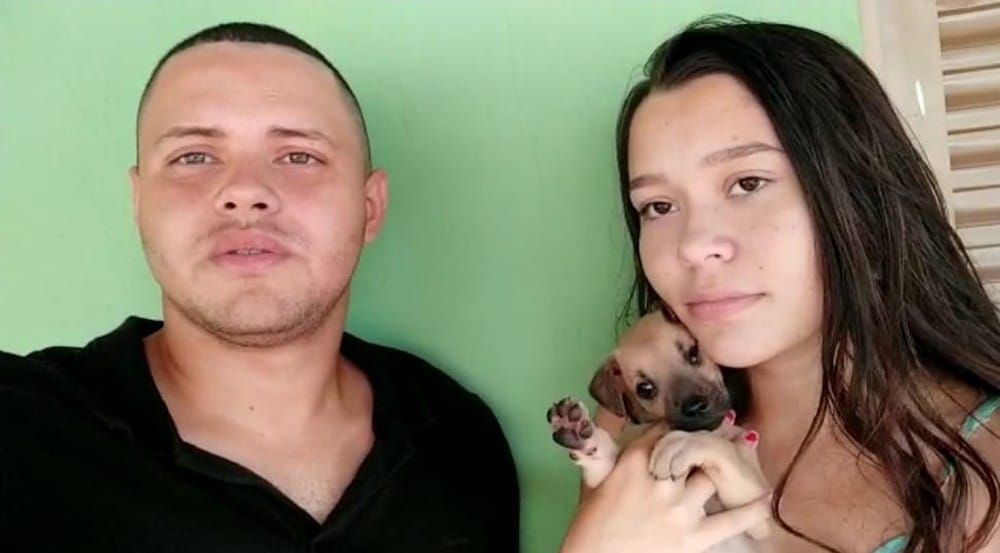 Polícia investiga crime de maus-tratos após mulher abandonar filhote de cão em Assis — Foto: Arquivo pessoal