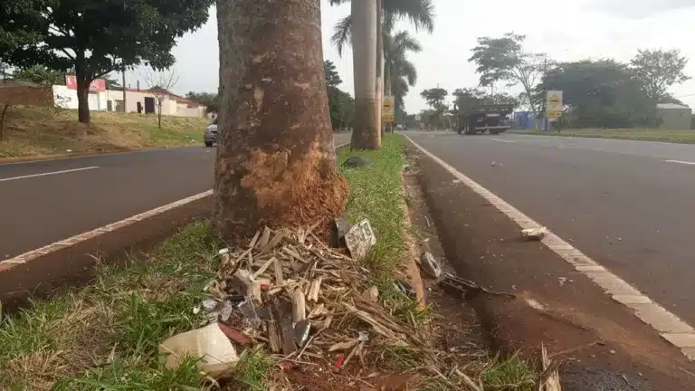 Destroços e a placa do carro ficaram ao lado do coqueiro no trecho urbano da Rodovia Raposo Tavares — Foto: Adolfo Lima/TV TEM