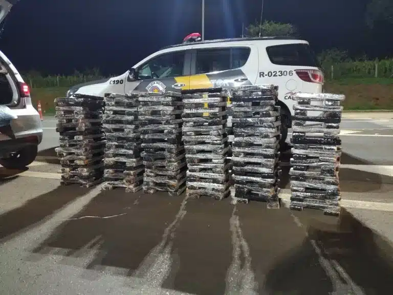 Polícia Rodoviária apreende mais de 200 kg de maconha em rodovia de Ourinhos (SP) — Foto: Polícia Militar Rodoviária de Ourinhos/ Divulgação