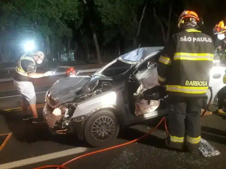 Carro atropelou e matou um cavalo que estava na rodovia em Tupã — Foto: Arquivo pessoal