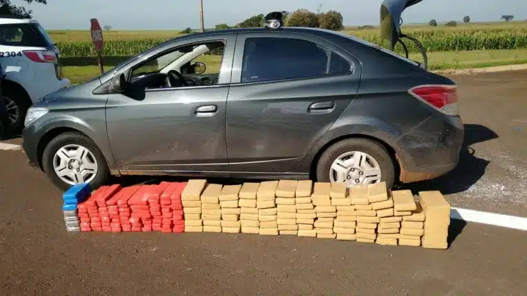 Polícia Rodoviária apreendeu cerca de 100 kg de maconha em rodovia de Palmital (SP) nesta quinta-feira (24) — Foto: Polícia Rodoviária/ Divulgação