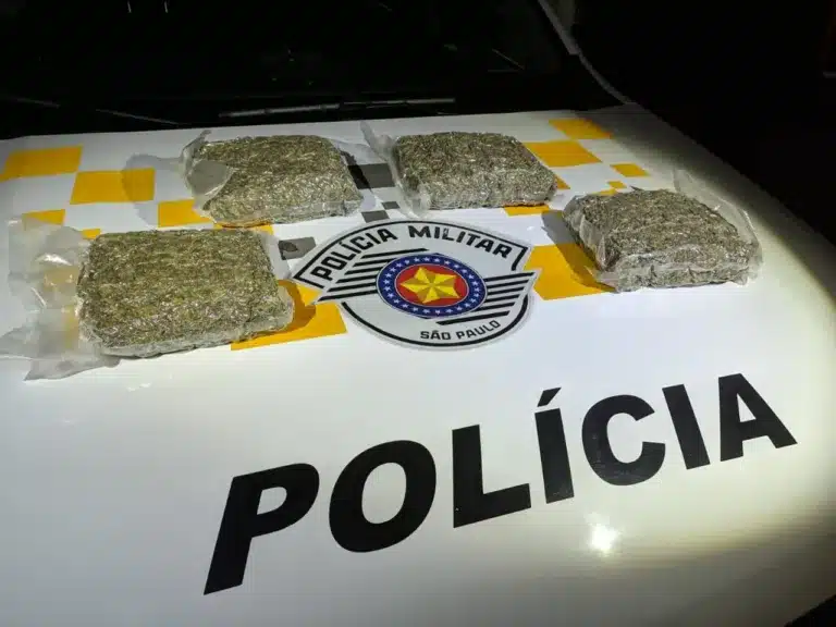 Passageira de ônibus é presa em Assis carregando droga em travesseiro (Foto: Divulgação/Polícia Rodoviária)