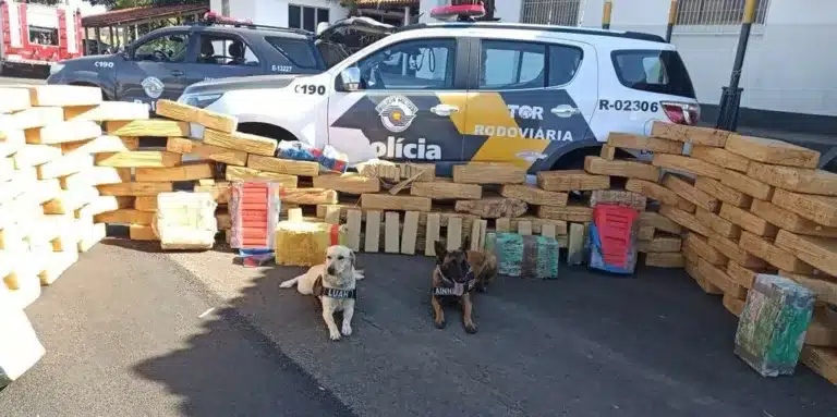 Polícia Rodoviária encontra 1,7 toneladas de maconha em caminhão com fundo falso no baú em Santa Cruz do Rio Pardo (SP) — Foto: 13ºBAEP/ Divulgação