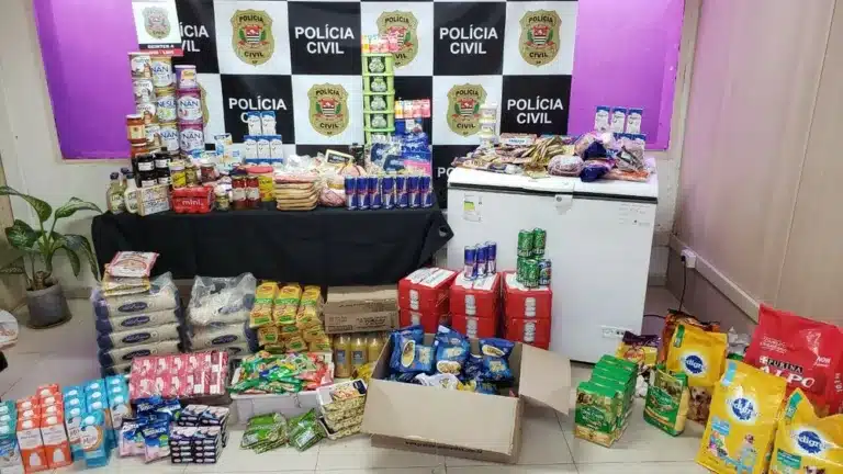 Mulher foi investigada pela Polícia Civil em Lins (SP) por esconder produtos em mercados para retirá-los de graça depois do vencimento — Foto: Polícia Civil/ Divulgação