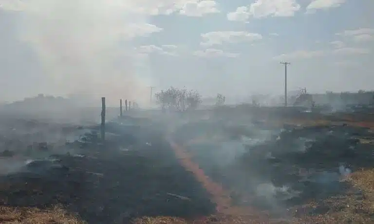 Incêndio atinge vegetação em Cândido Mota