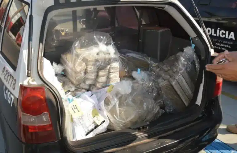 Drogas incineradas na última quarta-feira pela Polícia Civil de Paraguaçu Paulista (Foto: Manoel Moreno)