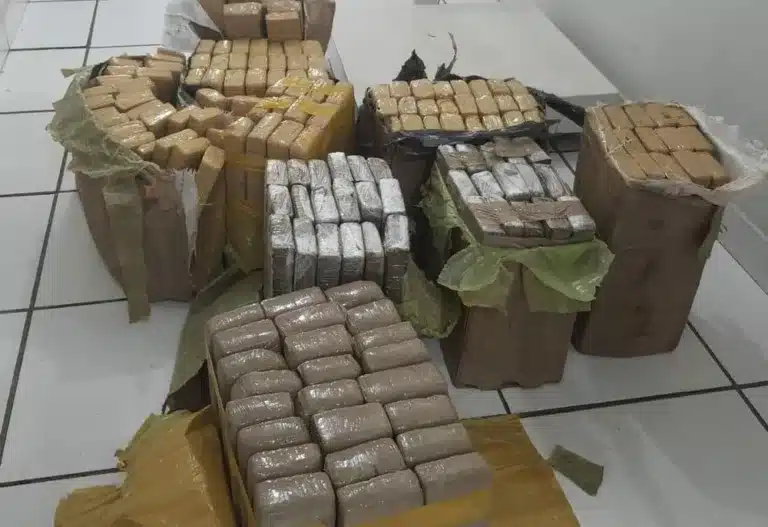 Droga apreendida em Marília pesou 163,200 kg — Foto: Polícia Civil / Divulgação
