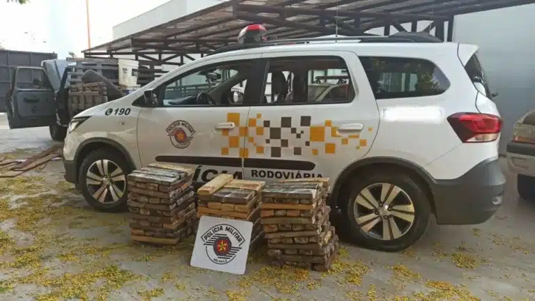 Os 137 tabletes de maconha estavam no fundo falso de uma camionete abordada em Paraguaçu Paulista — Foto: Polícia Rodoviária /Divulgação