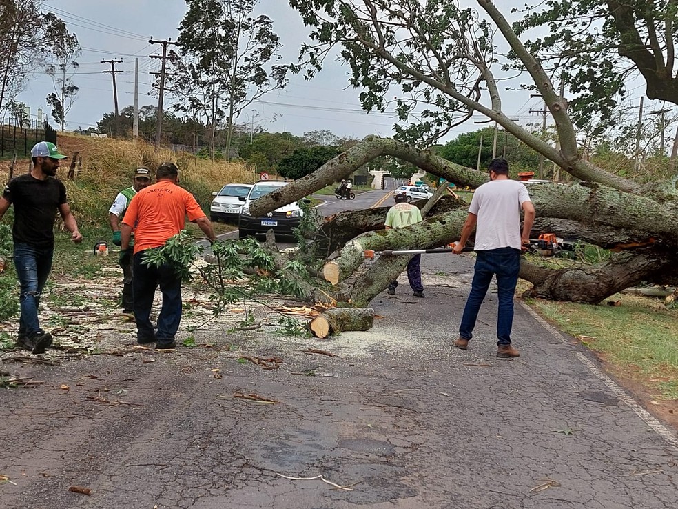 Ventania derruba muro e mata homem em Tupã; nuvem de areia ‘zera’ visibilidade em rodovias — Foto: Arquivo pessoal